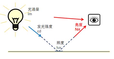 光照意思|光照的解释